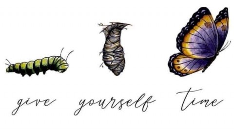 What I learnt from Butterflies
