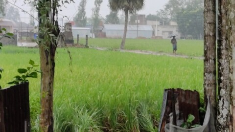 Rainy Sirajganj